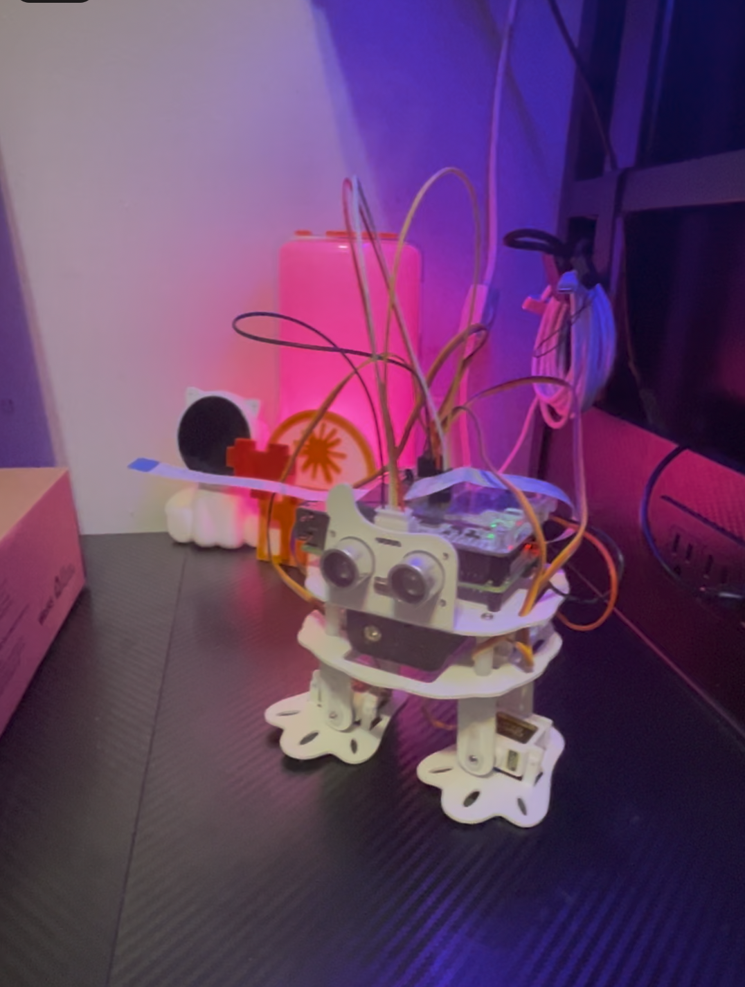 PiSloth — the bipedal walking robot