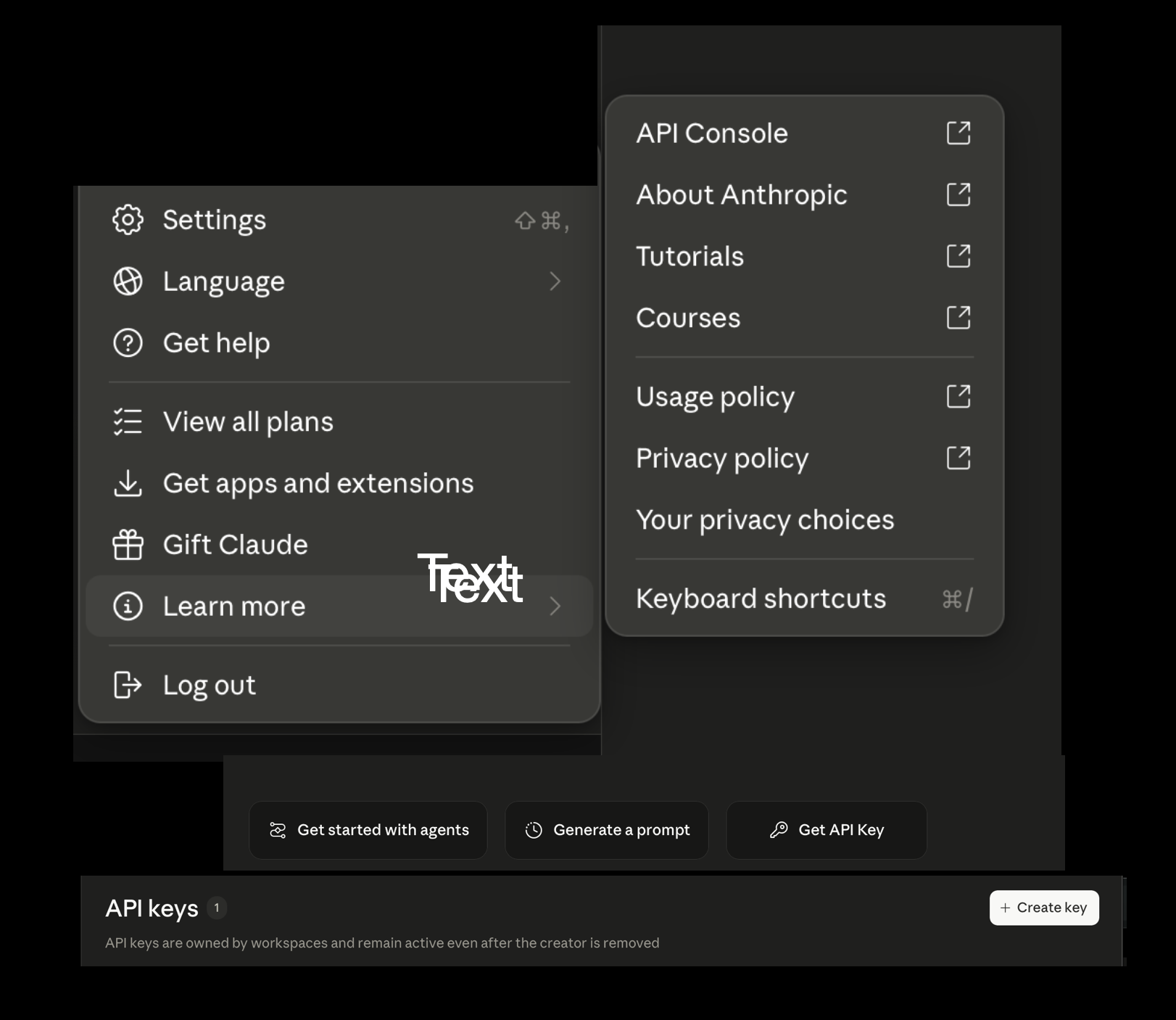 Anthropic API key
